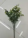 خمس نقاط في يوغالي details Picture